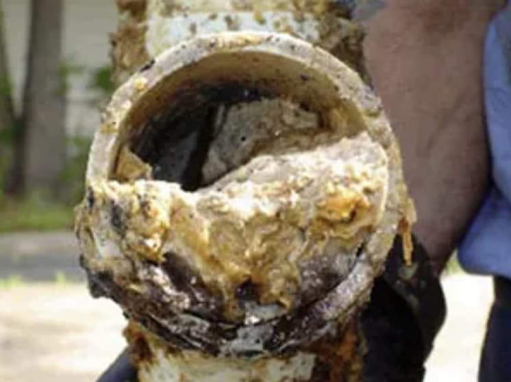 19 Sfaturi de iarnă pentru instalații sanitare care vă vor economisi mii de lei 4 fat and grease clogged pipe